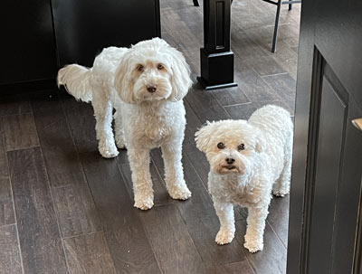 Frankie and Charlie, members of the Lewis Properties team